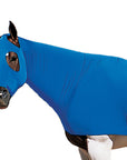 Weaver Equiskinz Lycra Stretchable Fleece Lined Horse Hood Blue Small