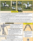 Natural Ride - Pat. No. 7,080,496